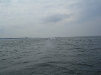 Hanse sail 2010.SANY3385